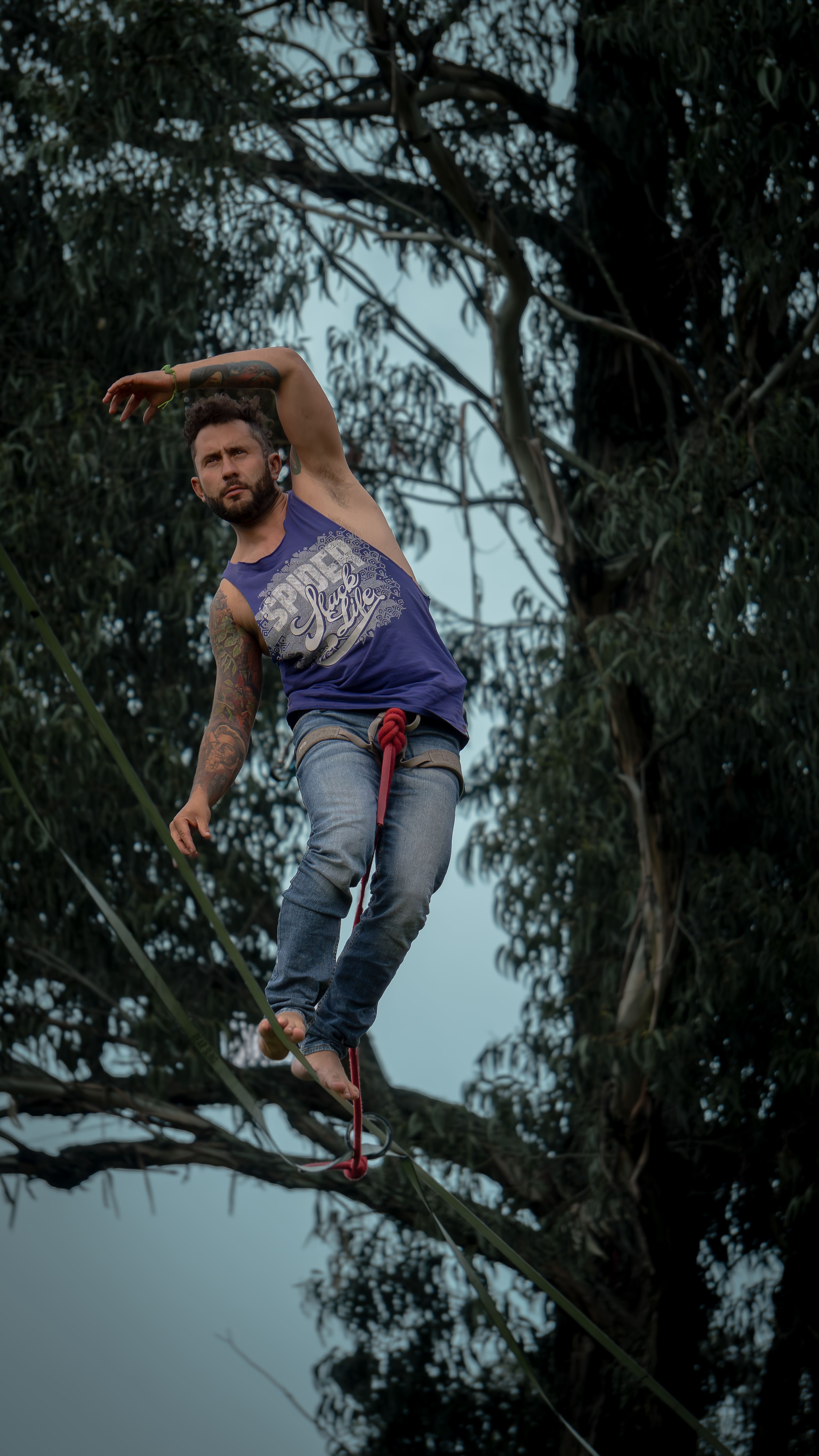 Equilibrista en slackline sobre las ramas de un árbol