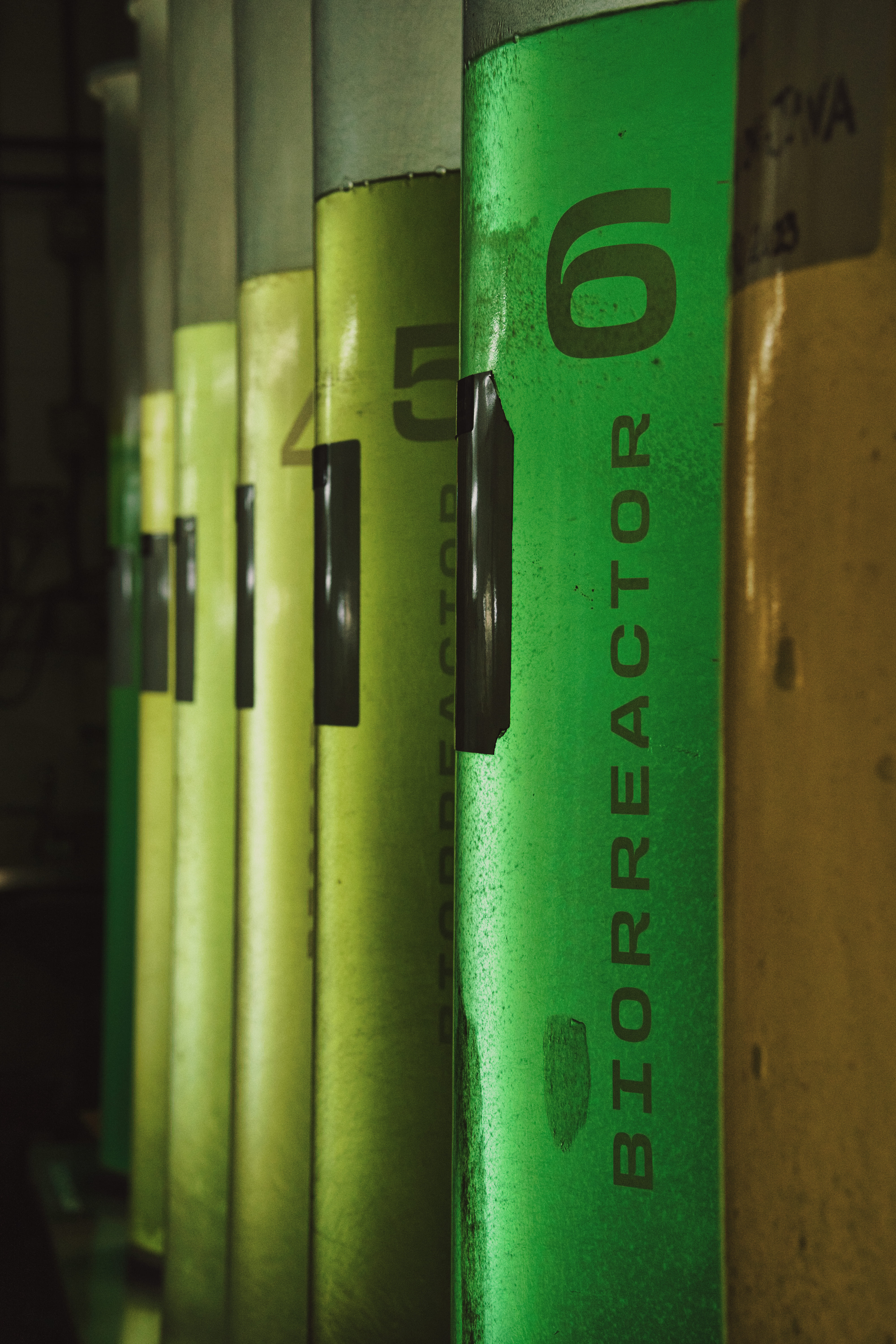 Fila de biorreactores industriales numerados en tonos verdes