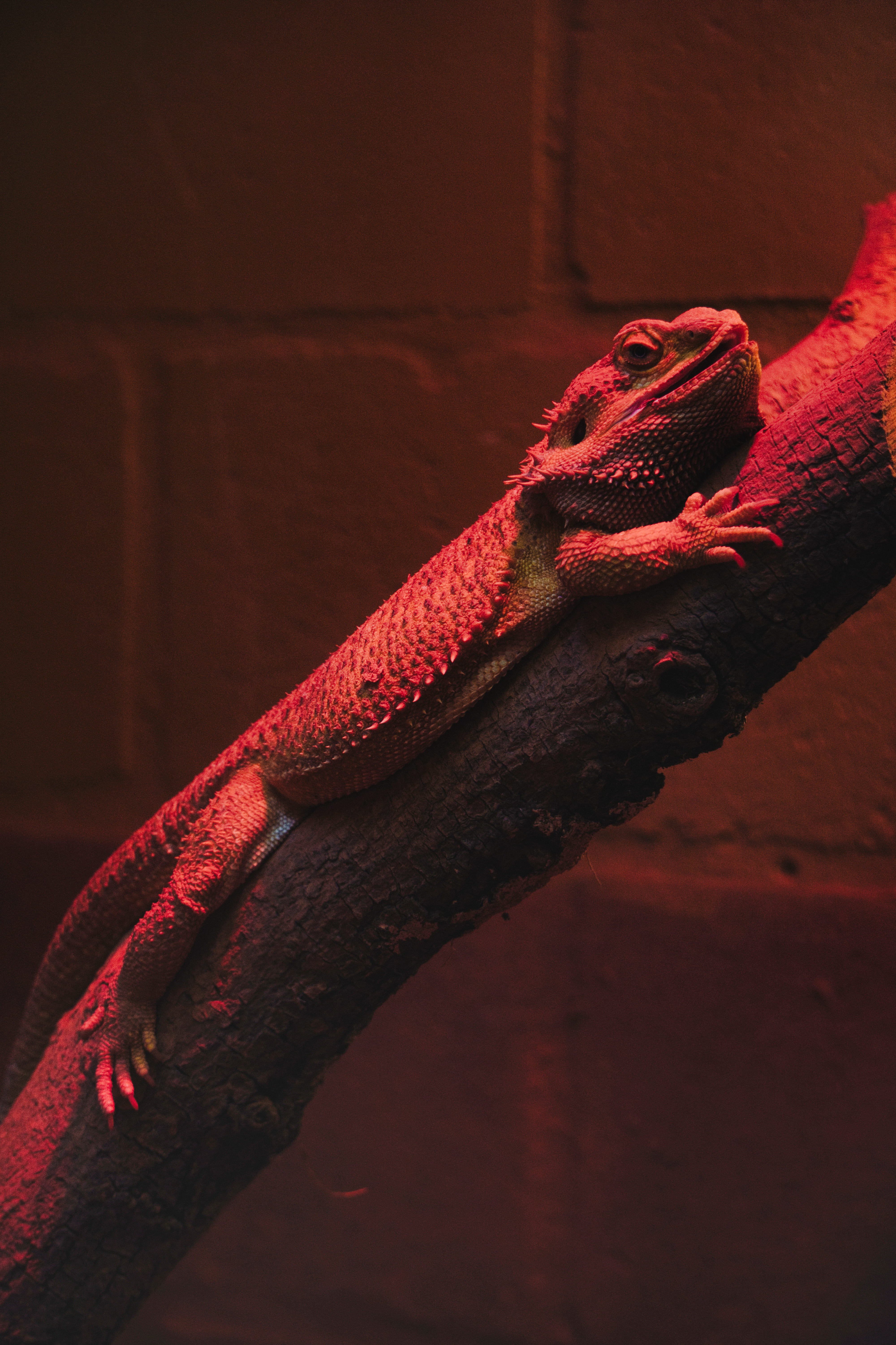 Proyecto visual en exterior